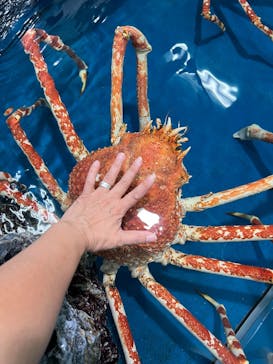 竹島水族館に投稿された画像（2025/9/28）