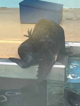 竹島水族館に投稿された画像（2025/9/28）