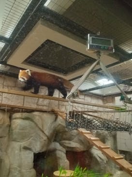 天王寺動物園に投稿された画像（2025/9/28）