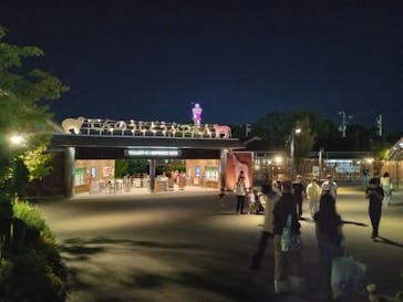 天王寺動物園に投稿された画像（2025/9/28）