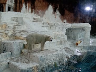 天王寺動物園に投稿された画像（2025/9/28）