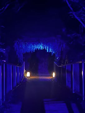 ニジゲンノモリに投稿された画像（2025/9/28）