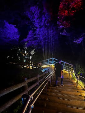 ニジゲンノモリに投稿された画像（2025/9/28）