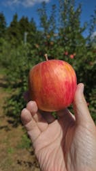 果実の里 原田農園に投稿された画像（2025/9/28）