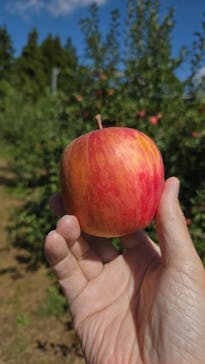 果実の里 原田農園に投稿された画像（2025/9/28）