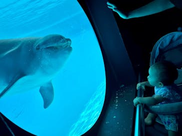 南知多ビーチランド＆南知多おもちゃ王国に投稿された画像（2025/9/28）