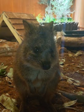 こども動物自然公園（埼玉県公園緑地協会）に投稿された画像（2025/9/28）