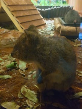 こども動物自然公園（埼玉県公園緑地協会）に投稿された画像（2025/9/28）