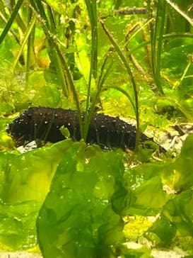 名古屋港水族館に投稿された画像（2025/9/28）