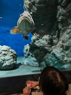 名古屋港水族館に投稿された画像（2025/9/28）