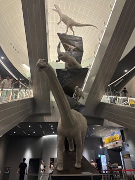 福井県立恐竜博物館に投稿された画像（2025/9/28）