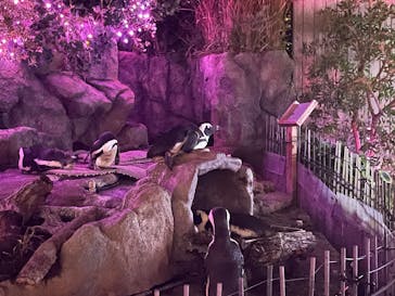 サンシャイン水族館に投稿された画像（2025/9/28）