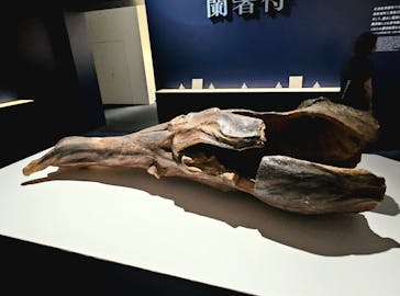 正倉院 THE SHOW ―感じる。いま、ここにある奇跡―　@上野の森美術館に投稿された画像（2025/9/28）