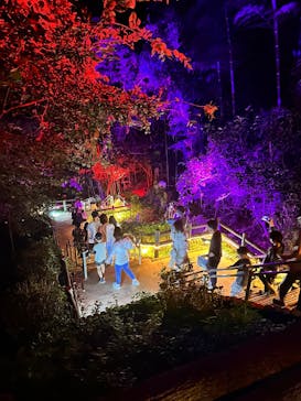 ニジゲンノモリに投稿された画像（2025/9/28）