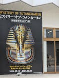 MYSTERY OF TUTANKHAMEN 体感型古代エジプト展に投稿された画像（2025/9/29）
