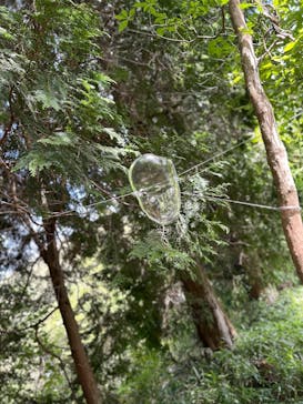 神戸六甲ミーツ・アート2025 beyondに投稿された画像（2025/9/28）