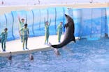 新江ノ島水族館に投稿された画像（2025/9/29）