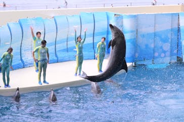 新江ノ島水族館に投稿された画像（2025/9/28）