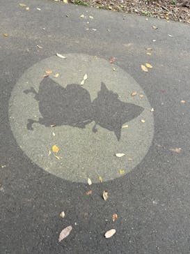 ムーミンバレーパークに投稿された画像（2025/9/28）