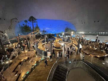 福井県立恐竜博物館に投稿された画像（2025/9/28）