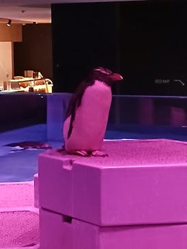 AOAO SAPPOROに投稿された画像（2025/9/28）