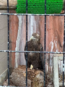 天王寺動物園に投稿された画像（2025/9/28）