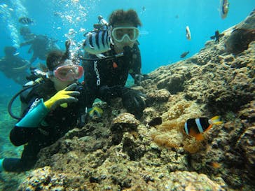 武藤潜水に投稿された画像（2025/9/29）