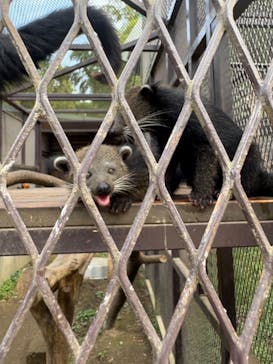 ANIMAL WONDER REZOURT 市原ぞうの国・サユリワールドに投稿された画像（2025/9/29）
