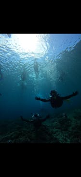 武藤潜水に投稿された画像（2025/9/29）