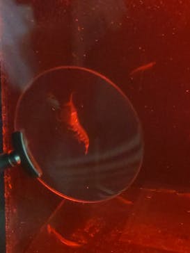 名古屋港水族館に投稿された画像（2025/9/29）