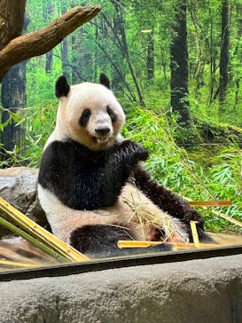 恩賜上野動物園に投稿された画像（2025/9/29）