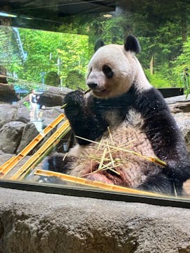 恩賜上野動物園に投稿された画像（2025/9/29）