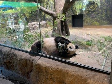 恩賜上野動物園に投稿された画像（2025/9/29）