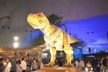 福井県立恐竜博物館に投稿された画像（2025/9/29）