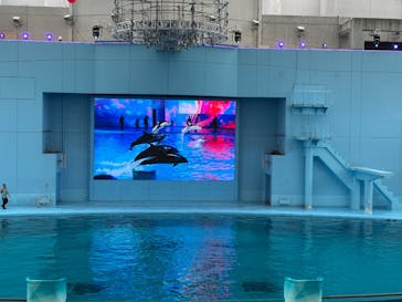 横浜・八景島シーパラダイスに投稿された画像（2025/9/29）