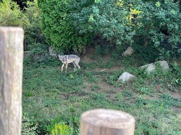 多摩動物公園に投稿された画像（2025/9/29）