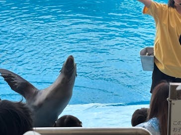 南知多ビーチランド＆南知多おもちゃ王国に投稿された画像（2025/9/29）