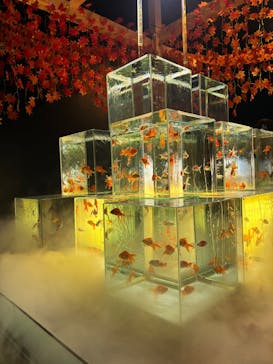 南知多ビーチランド＆南知多おもちゃ王国に投稿された画像（2025/9/29）