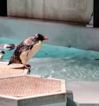 AOAO SAPPOROに投稿された画像（2025/9/29）