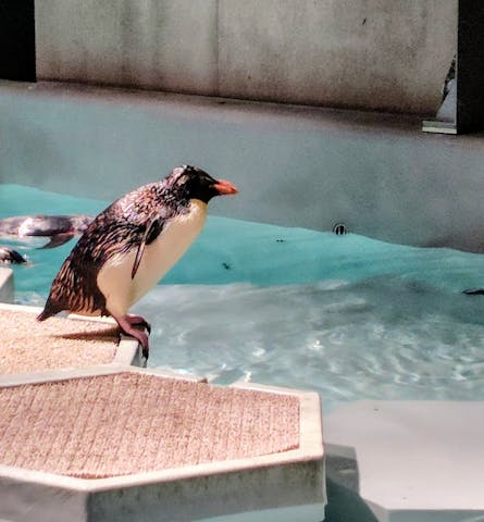 aoao様ご確認ページ bg-contact-img.jpg