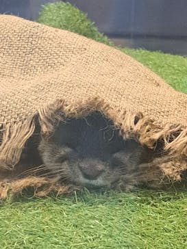 のとじま水族館に投稿された画像（2025/9/29）
