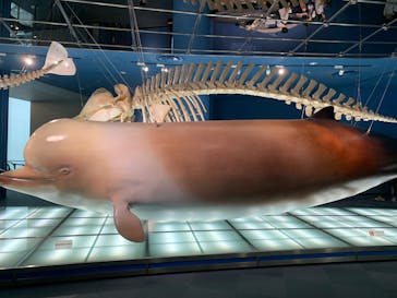 名古屋港水族館に投稿された画像（2025/9/29）