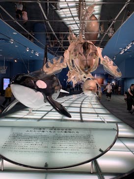 名古屋港水族館に投稿された画像（2025/9/29）