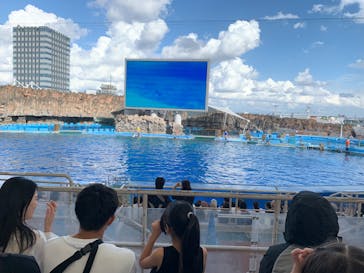名古屋港水族館に投稿された画像（2025/9/29）