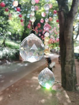 ムーミンバレーパークに投稿された画像（2025/9/29）