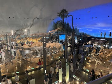 福井県立恐竜博物館に投稿された画像（2025/9/29）