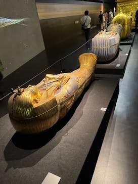 MYSTERY OF TUTANKHAMEN 体感型古代エジプト展に投稿された画像（2025/9/29）