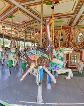 那須高原りんどう湖ファミリー牧場に投稿された画像（2025/9/29）