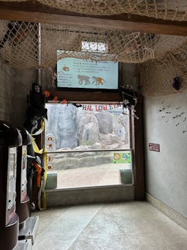 東武動物公園に投稿された画像（2025/9/29）