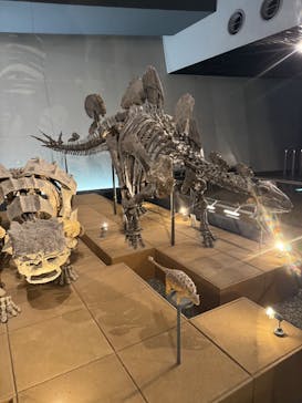 福井県立恐竜博物館に投稿された画像（2025/9/29）